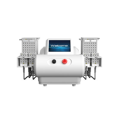 635nm 650nm 940nm 980nm Diodo láser EMS placa de liposucción máquina de adelgazamiento corporal