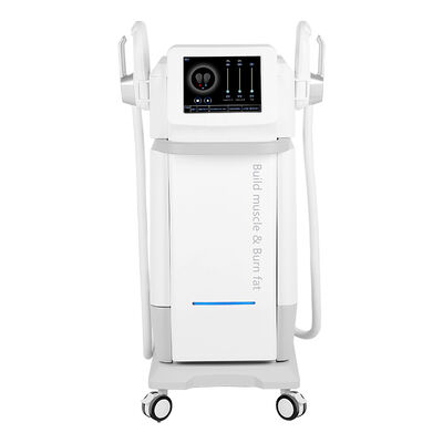 Buen precio 2 Manos 13Tesla Ejercicios para el suelo pélvico Escultura corporal Máquina Ems 5000W en línea