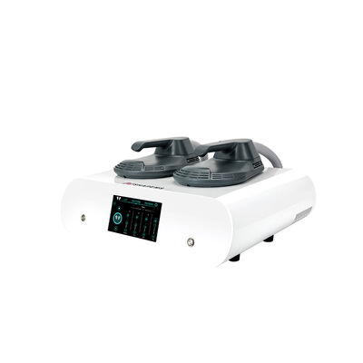 Buen precio Ems Construcción muscular El cuerpo adelgazar en casa Usar Mini Hi-EMT RF máquina de pérdida de peso en línea