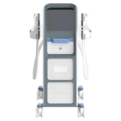 Buen precio Hi Emt Máquina Cuerpo Piernas Brazos Abdomen Caderas Vientre Glúteos Tratamiento para el hospital en línea