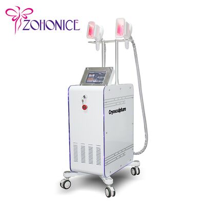 Buen precio 2 manija cambiable Cryolipolysis que adelgaza la máquina con Membrance anticongelante en línea