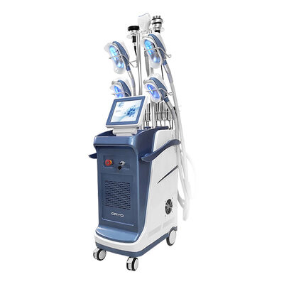 9 en 1 vacío 800VA Cryolipolysis que adelgaza la máquina