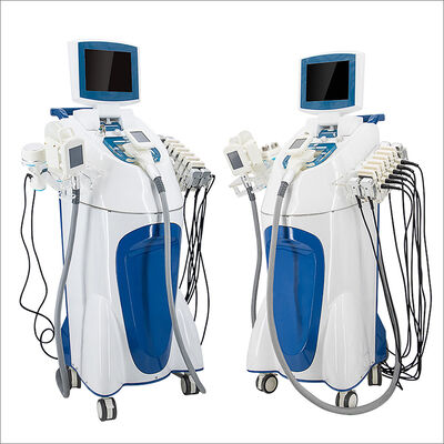 Buen precio Máquina para adelgazar grasa de congelación de 6 Hz en línea