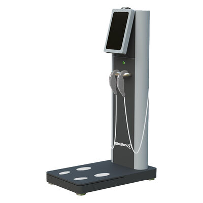 Buen precio Bioeléctrico Bmi Composición corporal Fitness Salud Impresora incorporada Analizador de grasa corporal en línea