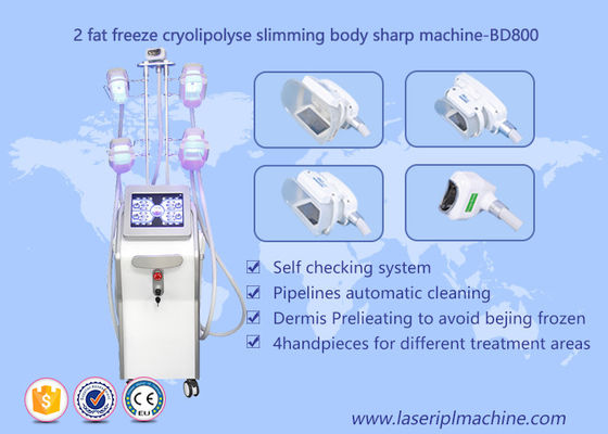 Buen precio Cuerpo Cryolipolysis de la forma que adelgaza la máquina, equipo de la belleza de Lipo Cryo Cryolipolysis en línea