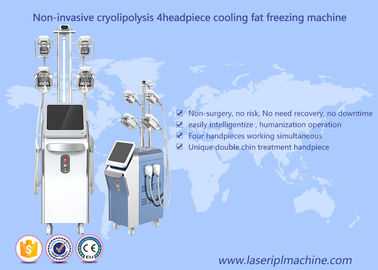 Pérdida de congelación gorda de Cryolipolysis que adelgaza la máquina del Rf de la cavitación del vacío de la máquina