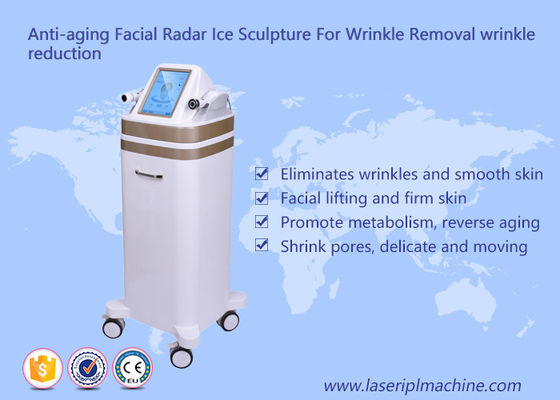 Buen precio Escultura de hielo facial del radar del RF del equipo antienvejecedor de la belleza para el retiro de la arruga en línea