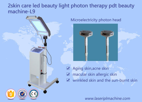 Buen precio 10HZ 415mm Cuidado de la piel Lifting facial PDT LED Beauty Light Therapy máquina en línea
