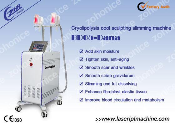 Buen precio 2 manija cambiable Cryolipolysis que adelgaza la máquina con Membrance anticongelante en línea