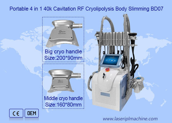 Buen precio 2 manija 650nm 1mhz Cryolipolysis que adelgaza la máquina en línea