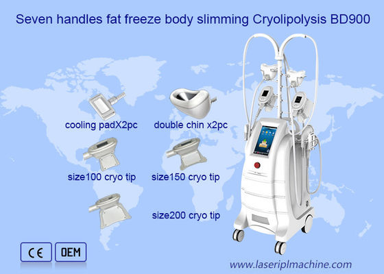 Buen precio Doble de congelación gordo Chine Removal Cryolipolysis Machine en línea