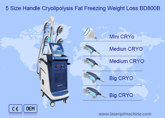 Buen precio Doble vertical Chin Cryolipolysis Slimming Machine de 360 ángulos en línea