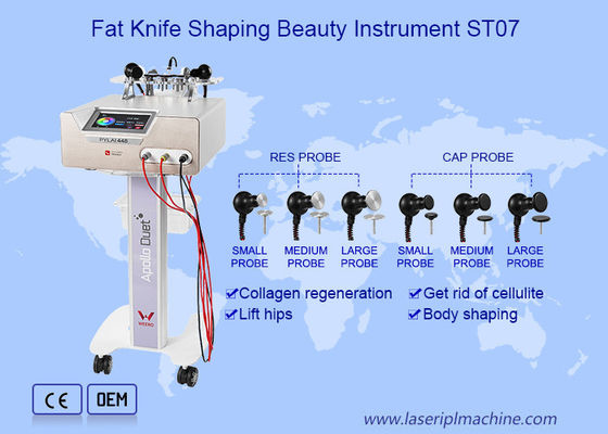 Buen precio El adelgazar portátil funcional múltiple del cuerpo del equipo de la belleza del RES RF del CASQUILLO en línea