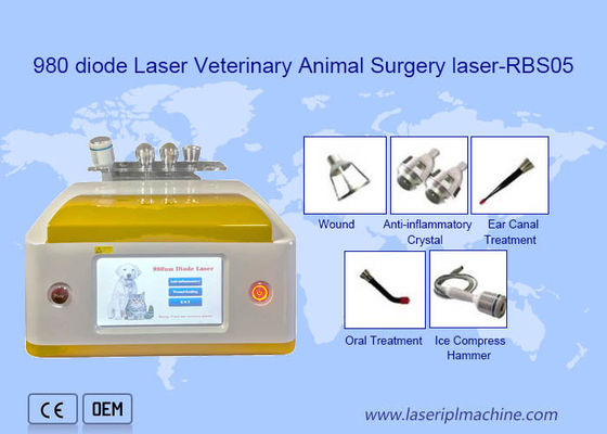 Buen precio Máquina veterinaria del retiro del laser del diodo portátil 980nm del uso de la clínica en línea